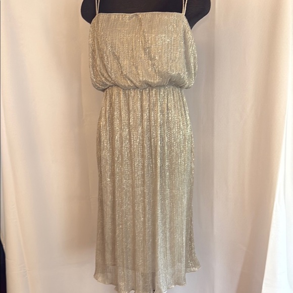 Zara Basic Shimmering Silver Spaghetti Strap Flowy Midi Dress - Picture 1 of 12